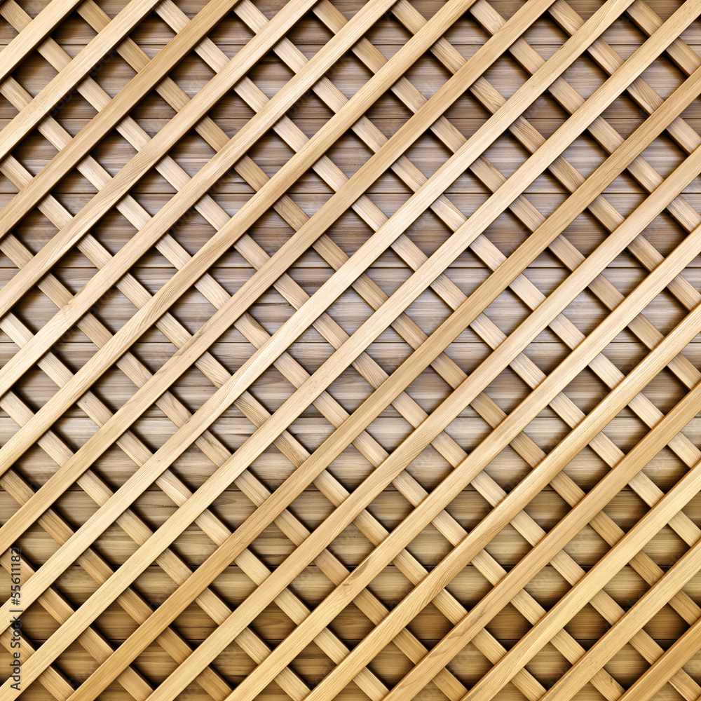 lattice lattice