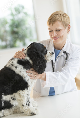 Veterinarian Examining Dog In Hospital