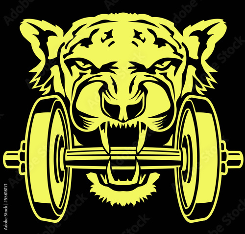 masterfitness-powertiger