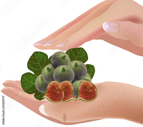 fico frutta