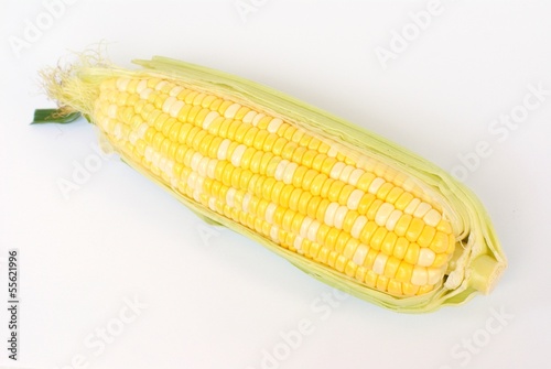 corn, bicolor