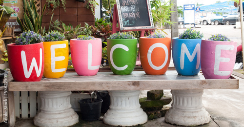 Welcome guest