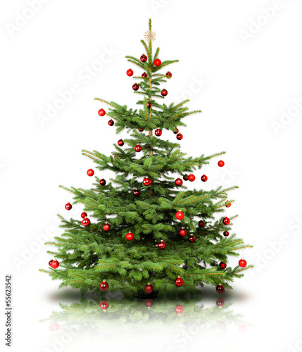 Weihnachtsbaum