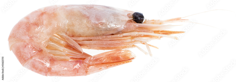 Raw Prawns on white Raw Prawns on white