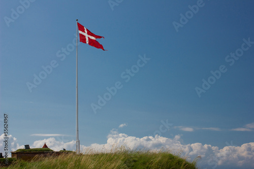 Danish flag