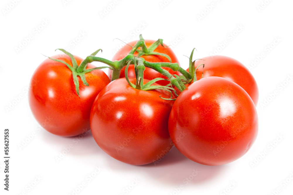 Closeup of tomatoes on the vine isolated on white. Tomato branch Closeup of tomatoes on the vine isolated on white. Tomato branch