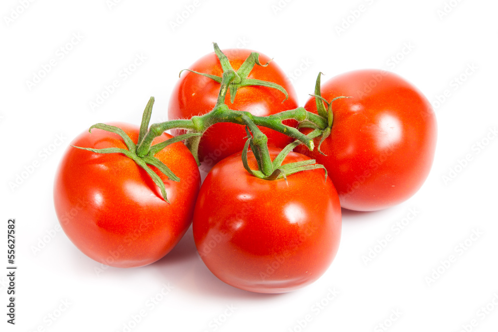 Closeup of tomatoes on the vine isolated on white. Tomato branch Closeup of tomatoes on the vine isolated on white. Tomato branch