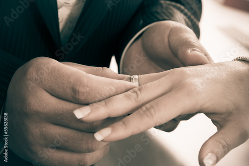 Wedding rings. Closeup of hands of bridal couple with wedding ri