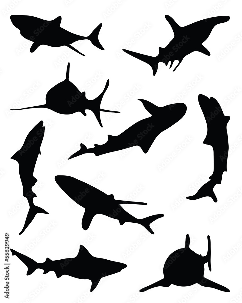 Obraz premium Sharks silhouette-vector illustration