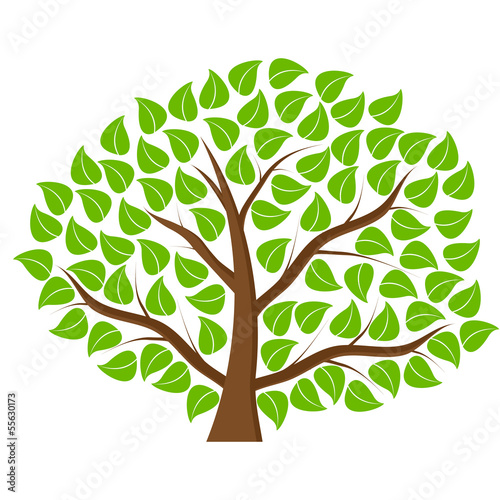 tree with green leaves