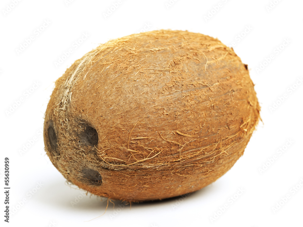 Coconut Coconut