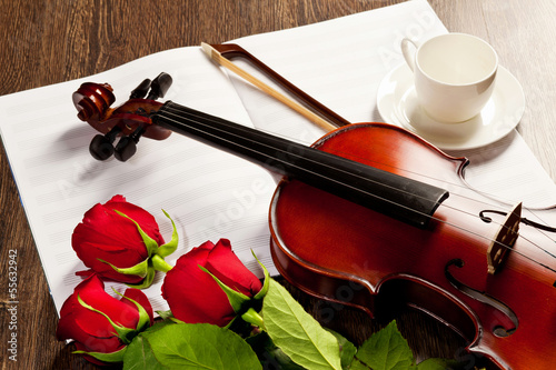 Red roses and a violin