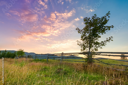Sunrise on hilltop with lonely tree and wooden fence