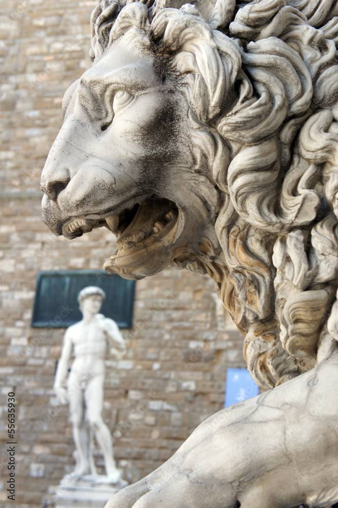 Lion and David at Loggia Dei Lanzi , Florence Italy