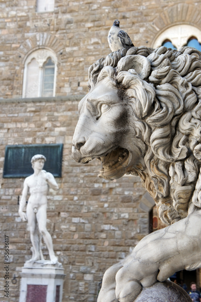 Lion and David at Loggia Dei Lanzi , Florence Italy Lion and David at Loggia Dei Lanzi , Florence Italy