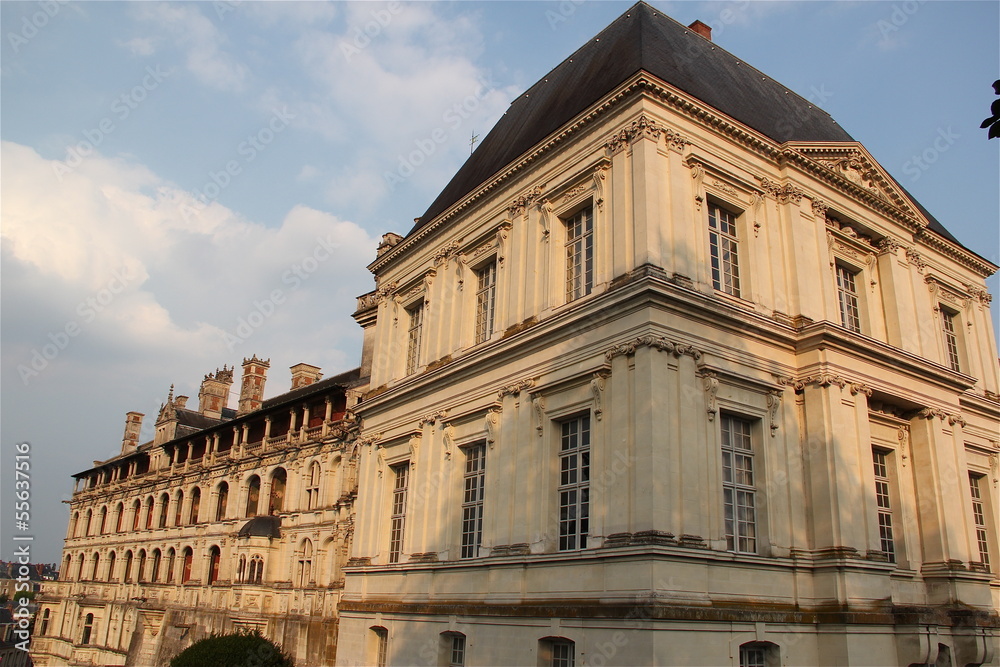 Fototapeta premium Chateau Blois