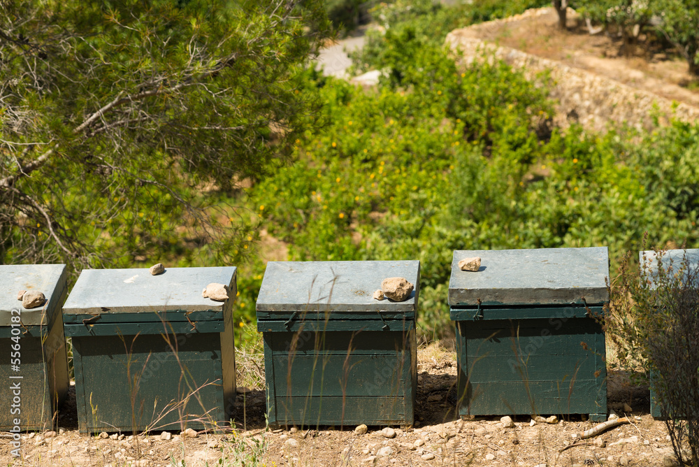 Bee houses