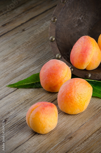 Apricots with leaves