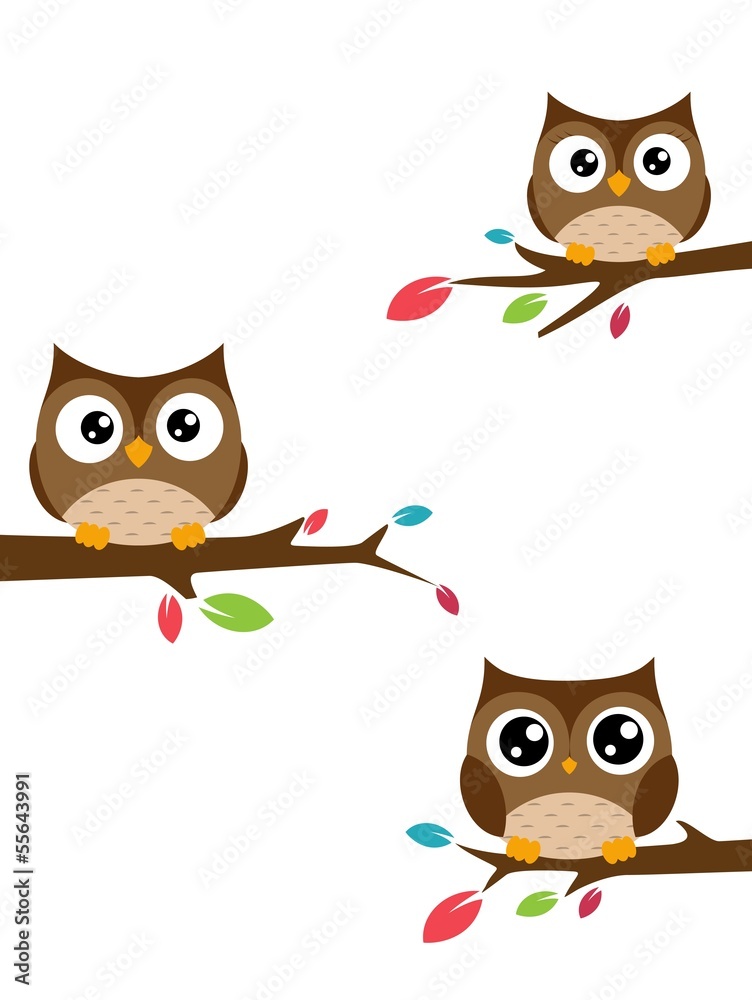 Family of owls sat on a tree branch