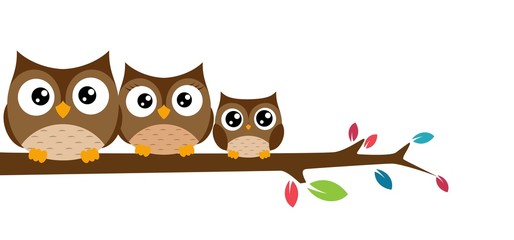owls Family sat on a tree branch