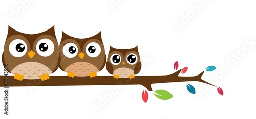 owls Family  sat on a tree branch