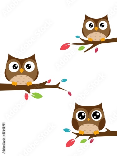 Family of owls sat on a tree branch