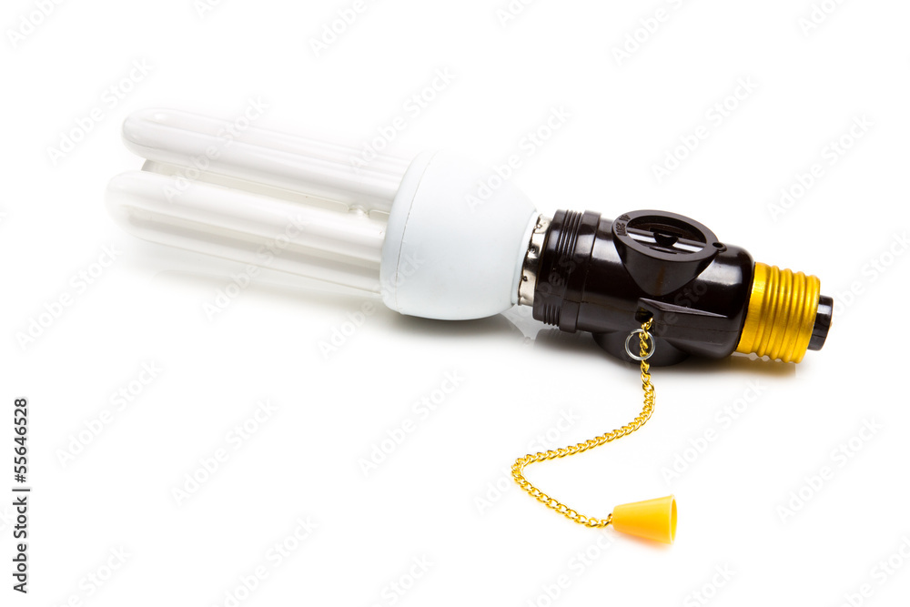 energy efficient light bulb isolated on white energy efficient light bulb isolated on white