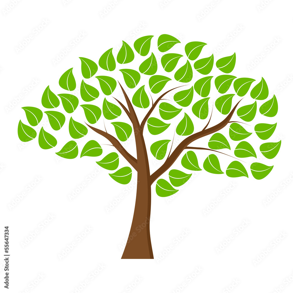 tree with green leaves