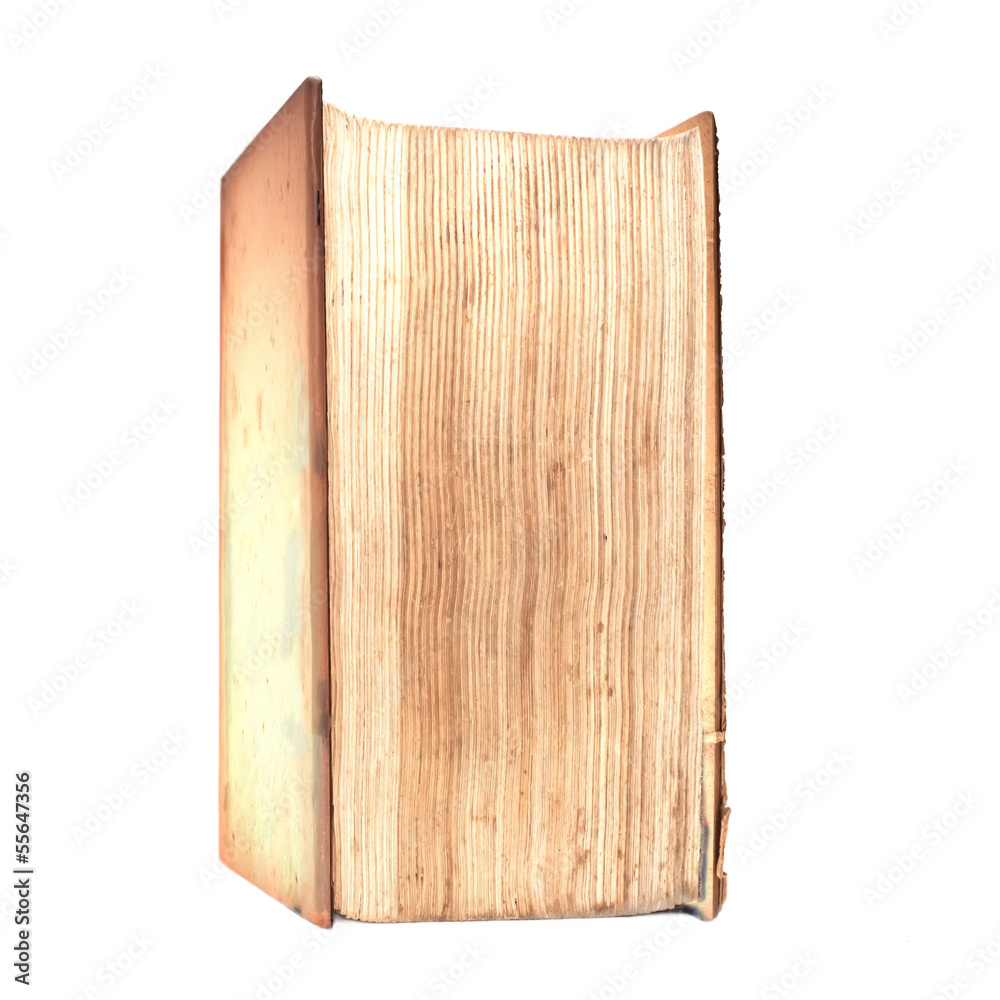 Fototapeta premium Old book
