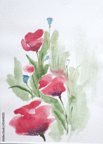 red bright poppies