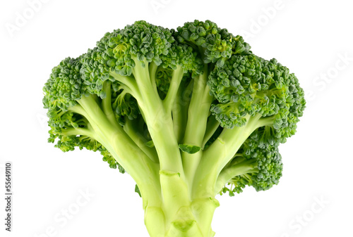 Fresh raw broccoli isolated on white background