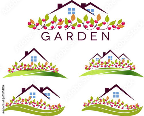 Fruit garden and house. Garden, apple trees and lawn