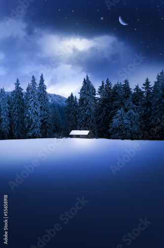 Winterwald