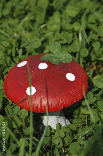 Fliegenpilz und Glücksklee