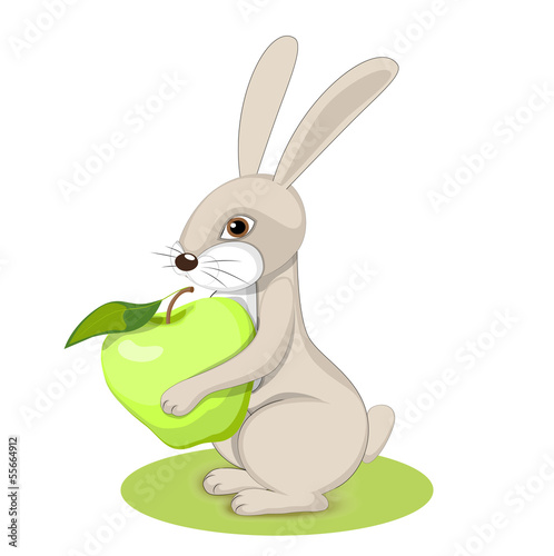 rabbit2