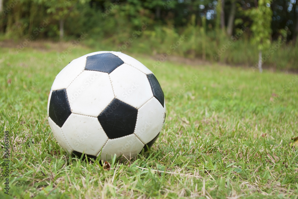 soccer ball on green field soccer ball on green field