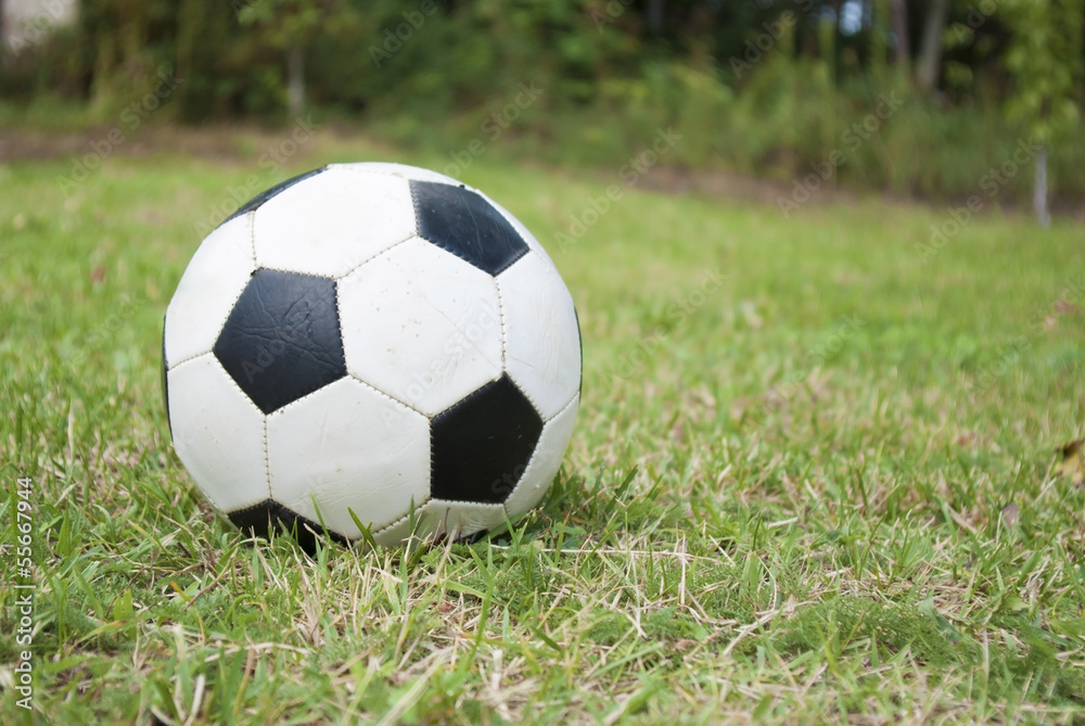 soccer ball on green field