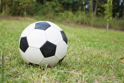 soccer ball on green field © geronimo