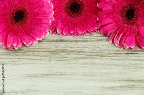 Beautiful pink gerbera flowers on wooden table