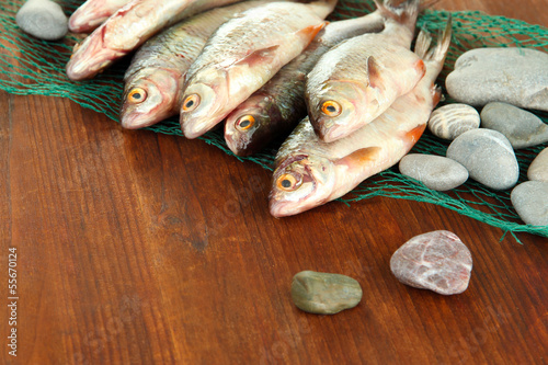 Fishes on fishing net on wooden background