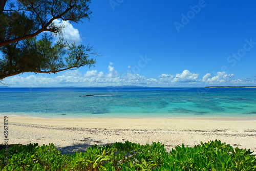 Fototapeta Naklejka Na Ścianę i Meble -  屋那覇島の美しい珊瑚の海と夏空