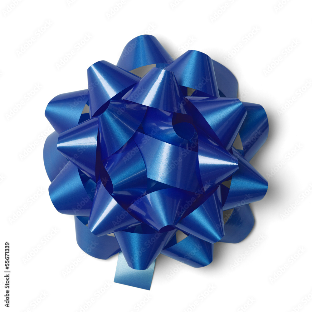 Blue Gift Bow