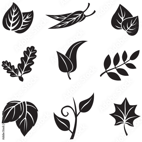 Leaves set