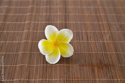 Single frangipani on bamboo mat texture