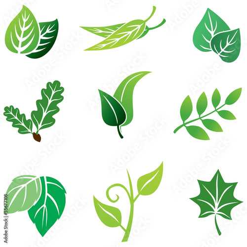 Color leaves set