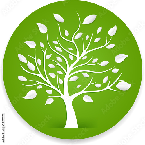 tree vector