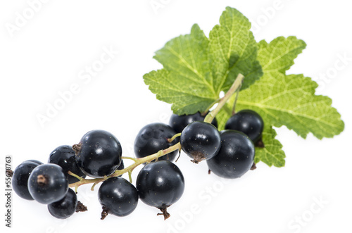 Isolated Black Currants