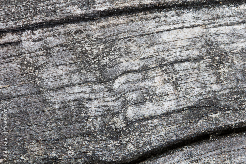 Fototapeta premium Wooden texture