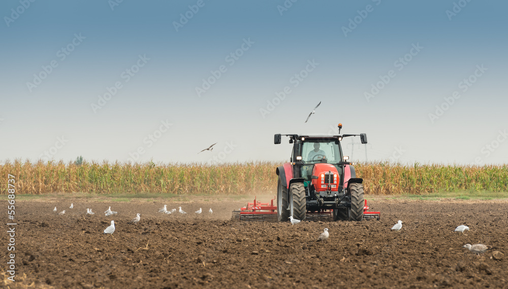 Obraz premium preparation in the fields