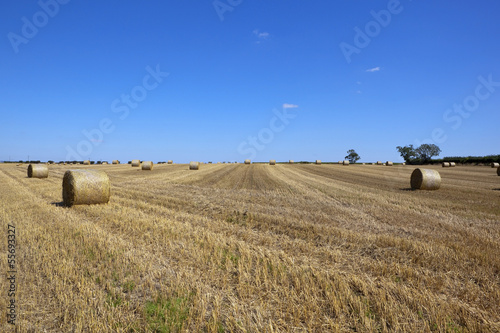 round bales at harvest time